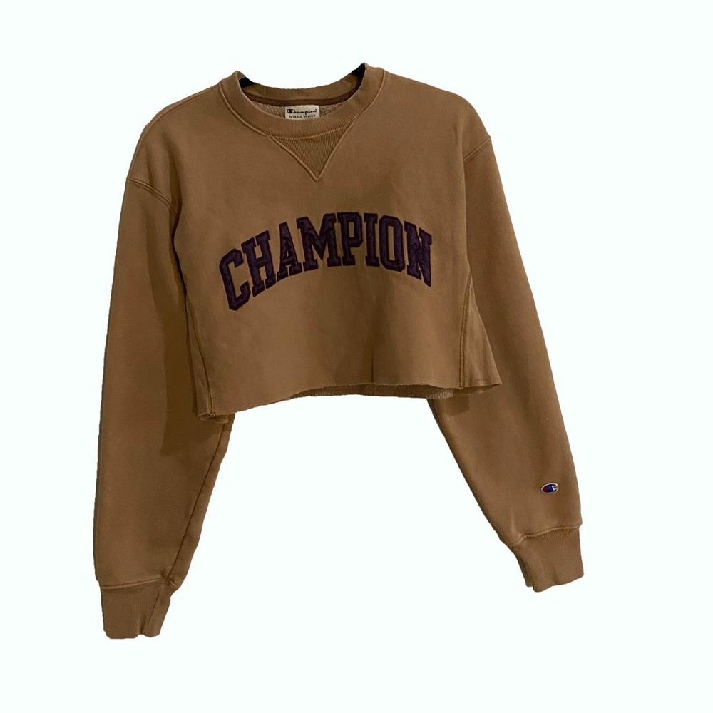 Champion Brown Cropped Sweatshirt